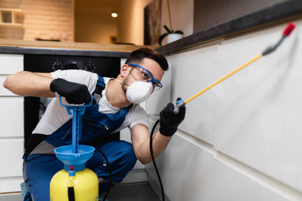 Best Commercial Pest Control Services  in Shasta, CA