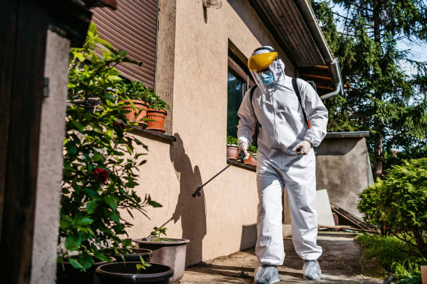 Best Residential Pest Control  in Shasta, CA