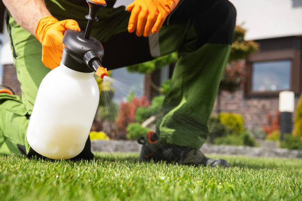 Best Pest Control for Businesses  in Shasta, CA