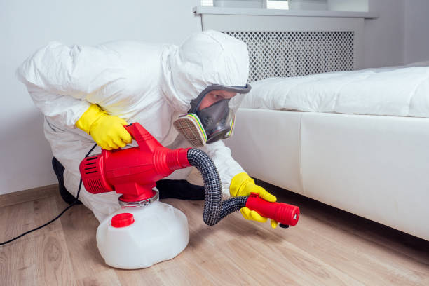 Best Best Pest Control Companies  in Shasta, CA