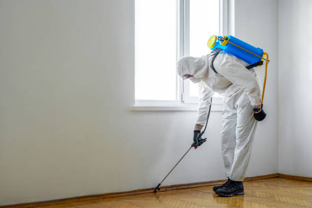  Shasta, CA Pest Control Pros