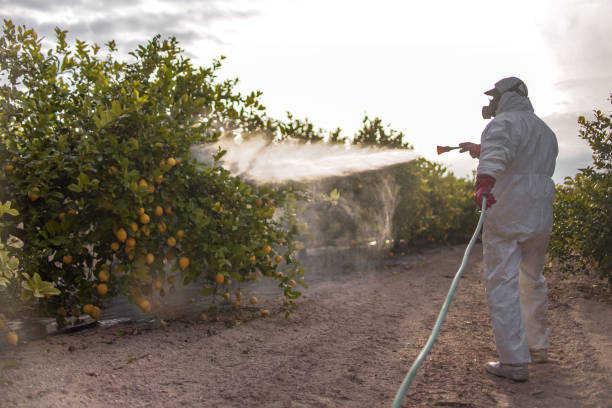 Professional Pest Control in Shasta, CA