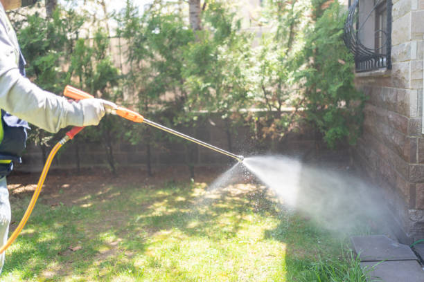 Best Emergency Pest Control  in Shasta, CA