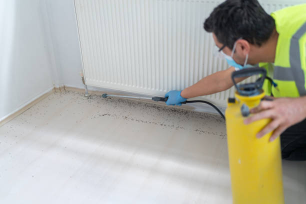 Best Pest Inspection Near Me  in Shasta, CA
